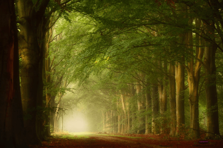 Agnus Dei-kerk – Protestantse kerk, Waalre