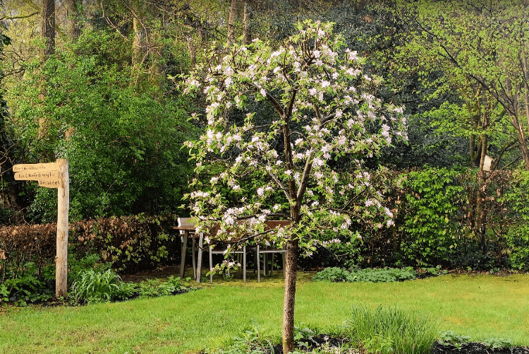 Agnus Dei-kerk – Protestantse kerk, Waalre